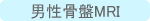�r�A�ɁE�r�A��Q�E�p�A�E�R�A�E�c�A���E���A�E�����t�E�������ɁE���ɁE�������s�����Ȃ�