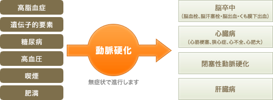 arteriosclerosis01.gif