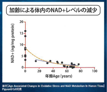 加齢による体内のNAD＋レベルの減少