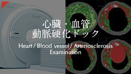 心臓・血管 動脈硬化ドック