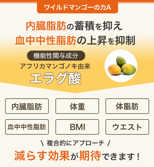 new20250516-diet-mango_point.png