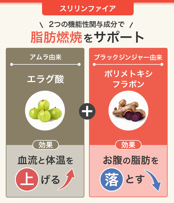 new20250516-diet-suririn_point.png